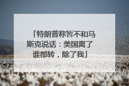 特朗普称暂不和马斯克说话：美国离了谁都转，除了我